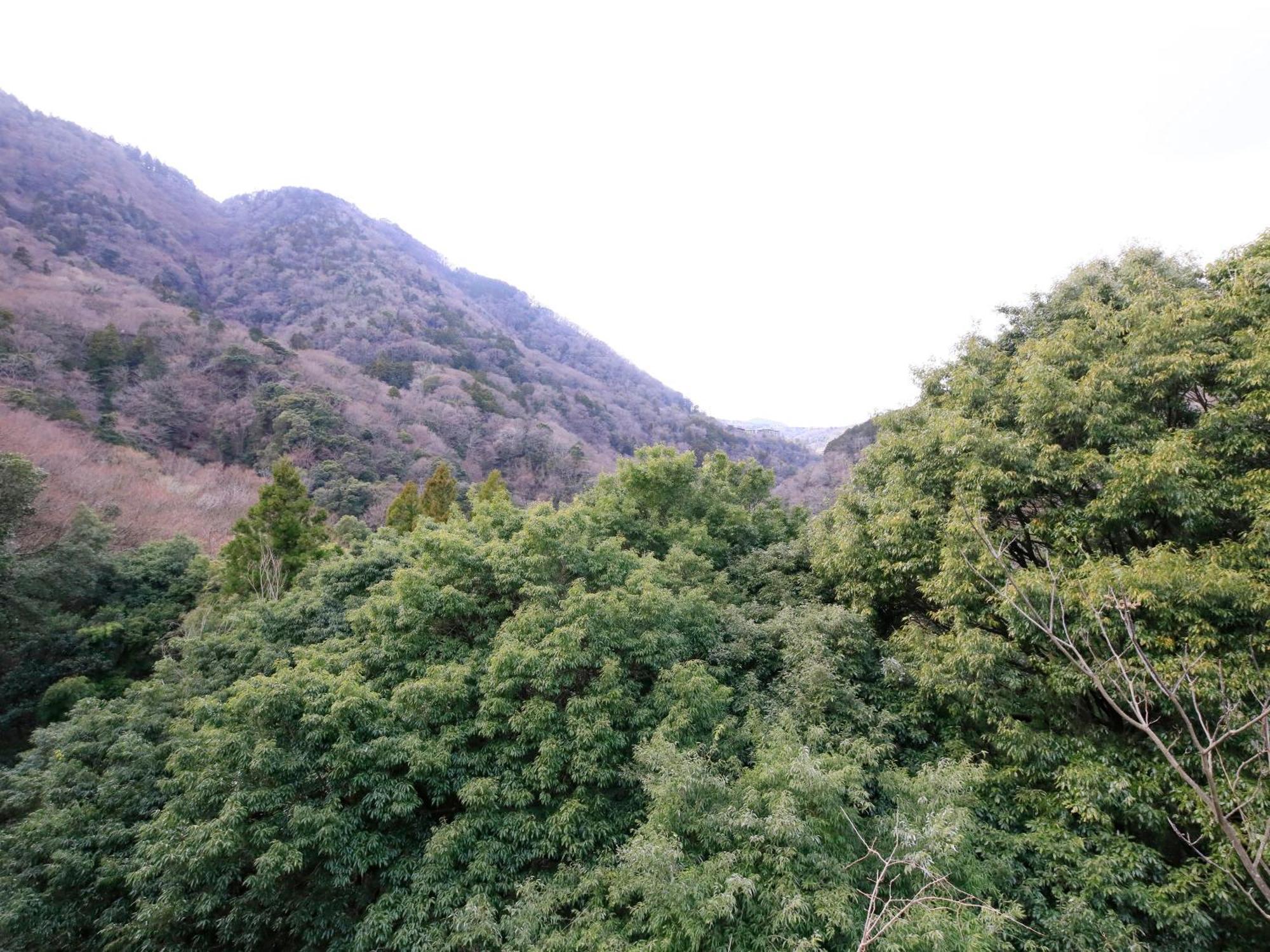 Hot Spring Inn Hakone Suisen Екстер'єр фото